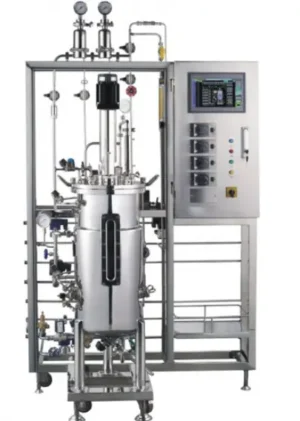 Lab Fermentation Bioreactor For Bacteria Stainless Steel Bioreactor